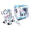 RC Roboti