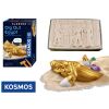 KOSMOS Egyptské vykopávky