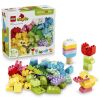 LEGO® DUPLO® 10479 Barevný kreativní box s kostkami
