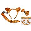 Set karneval - tygr