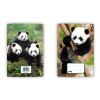 Sešit (540) A5 nelinkovaný, 40l Panda/Tygr
