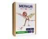 Merkur - DINO – Pterosaurus, 145 dílků