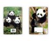 Sešit (540) A5 nelinkovaný, 40l Panda/Tygr