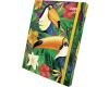 Box na sešity s gumou JUNGLE A4 (315x240mm) 130gr/m2