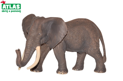 Levně F - Figurka Slon africký 16 cm