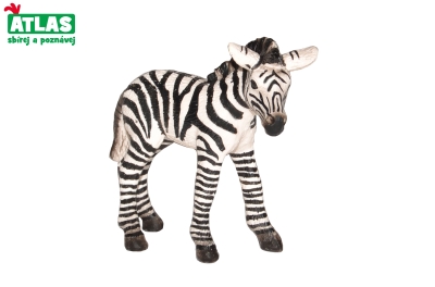 Levně B - Figurka Zebra hříbě 7 cm