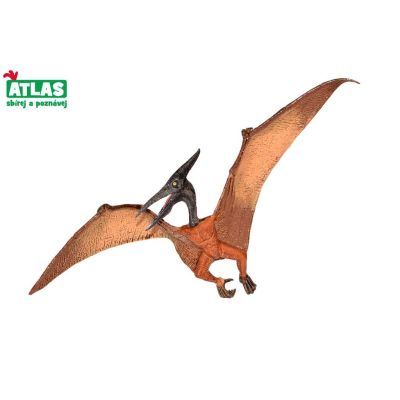 Levně C - Figurka Dino Pteranodon 22 cm