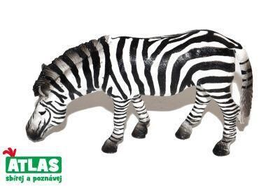Levně D - Figurka Zebra 11 cm