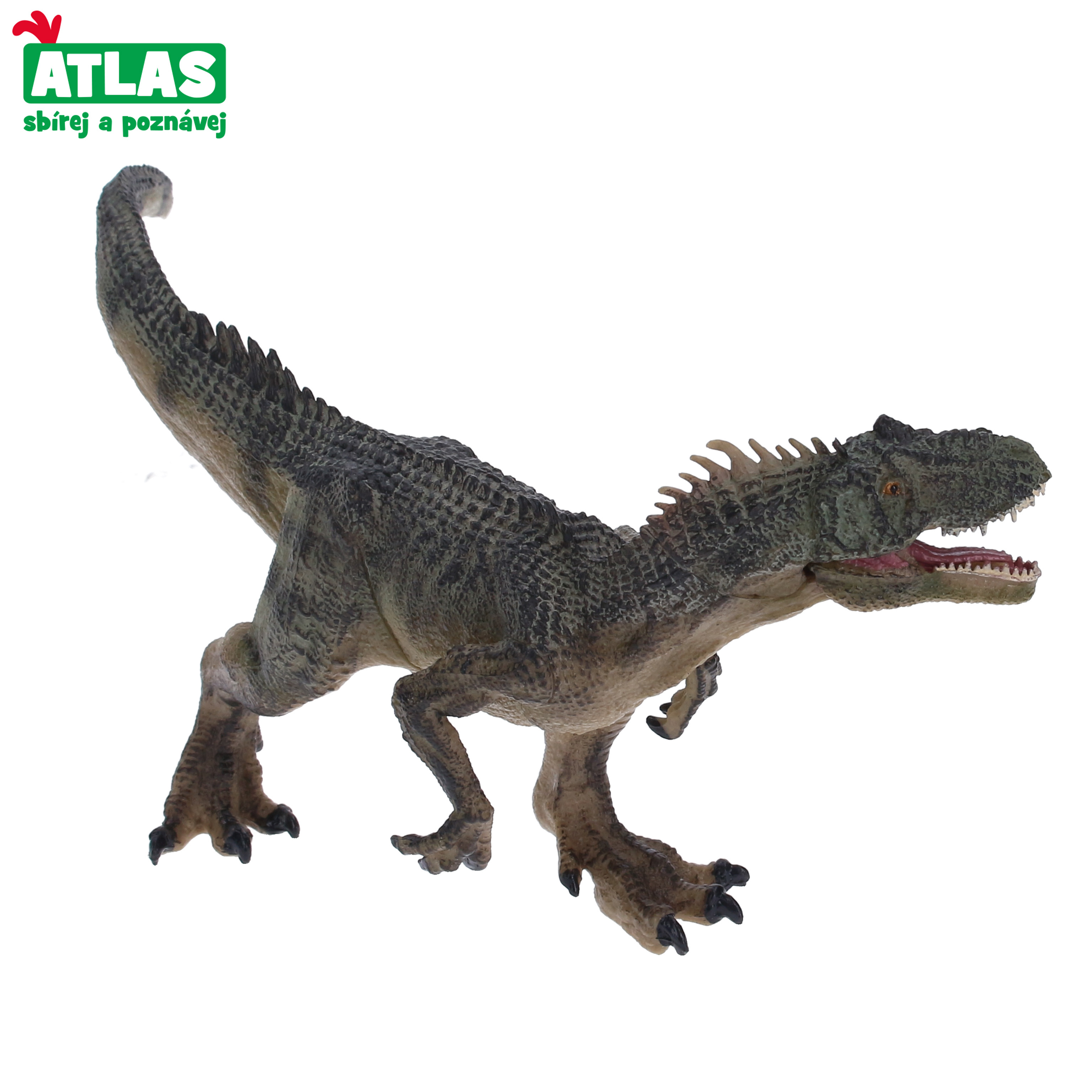 Levně F - Figurka Torvosaurus 24 cm