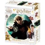 3D puzzle Harry Potter-RonWeasley300ks