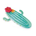 58793EU Plovadlo kaktus