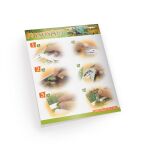 DinosArt Tvoření pomocí písku a folie