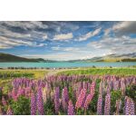 Clementoni Puzzle 1500 Lupiny u jezera Tekapo