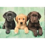 Clementoni Puzzle 1000 Tři labradoři