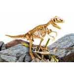 Dino vykopávka model T-Rex