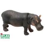 C - Figurka Hroch obojživelný 12 cm