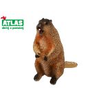 A - Figurka Svišť 7,5 cm