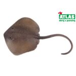 C - Figurka Rejnok Trnucha východní 18,5 cm