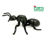 A - Figurka Mravenec černolesklý 9 cm