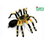 A - Figurka Pavouk Sklípkan smithův 11 cm
