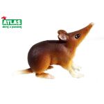 A - Figurka Myš Bércoun somálský 6 cm
