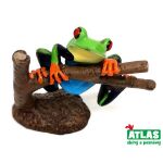 A - Figurka žába Listovnice červenooká 8 cm