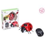 Beruška obří RC na dálkové ovládání 9 cm - český obal