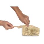 Igráček Paleontoložka – figurka s vykopávkami dinosaurů Parasaurolopha a Diplodoca