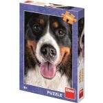 Puzzle Chlupatý pes 300 XL