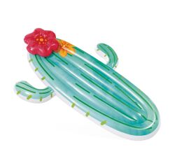 58793EU Plovadlo kaktus