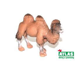C - Figurka Velbloud 11 cm
