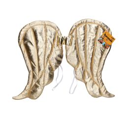 Set karneval - zlaté křídla 50x40 cm