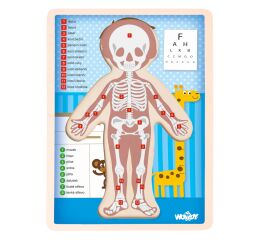 Puzzle Lidské tělo - Kluk CZ