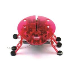 HEXBUG Beetle - červený
