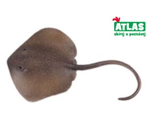 C - Figurka Rejnok Trnucha východní 18,5 cm