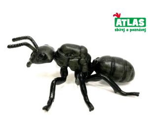 A - Figurka Mravenec černolesklý 9 cm