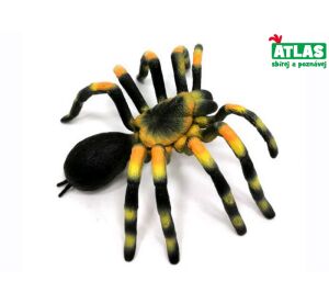 A - Figurka Pavouk Sklípkan smithův 11 cm