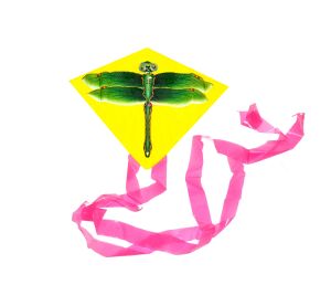 Létající drak 27 x 33 cm - Český obal