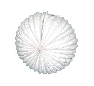 Lampion koule bílý 25 cm