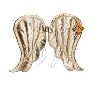 Set karneval - zlaté křídla 50x40 cm