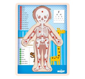Puzzle Lidské tělo - Kluk CZ