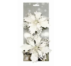 Poinsettie bílá 14 cm, 2 ks na klipu