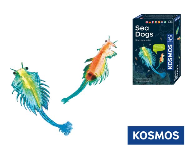 KOSMOS Vodní mazlíček žábronožka