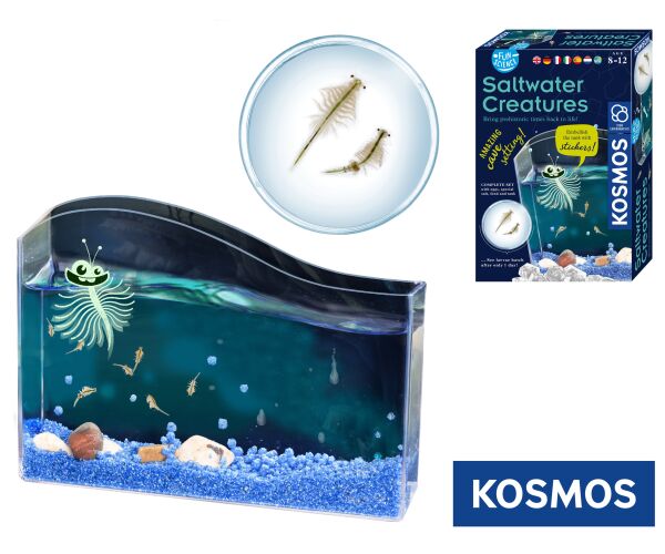 KOSMOS Vodní mazlíček žábronožka solná