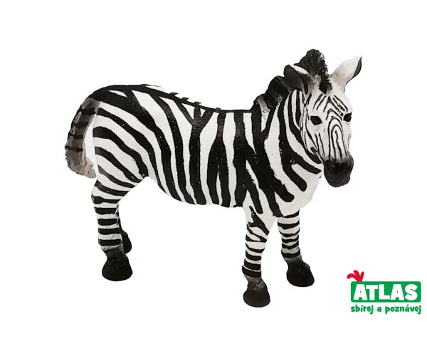 C - Figurka Zebra 10 cm