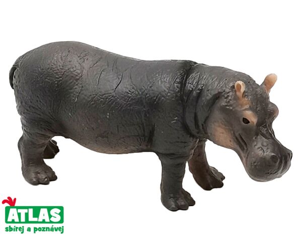C - Figurka Hroch obojživelný 12 cm