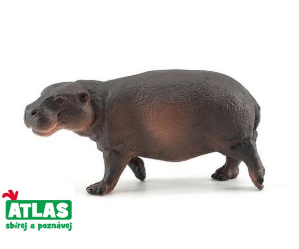 A - Figurka Hroch obojživelný mládě 8 cm