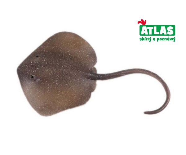 C - Figurka Rejnok Trnucha východní 18,5 cm