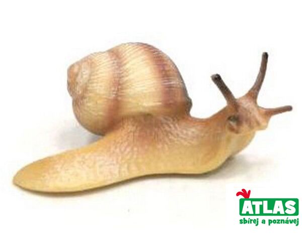 A - Figurka Hlemýžď pruhovaný 9 cm