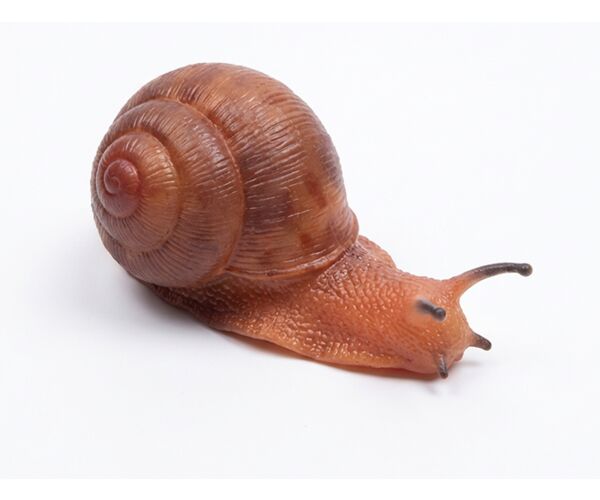 Šnek gumový 13 cm